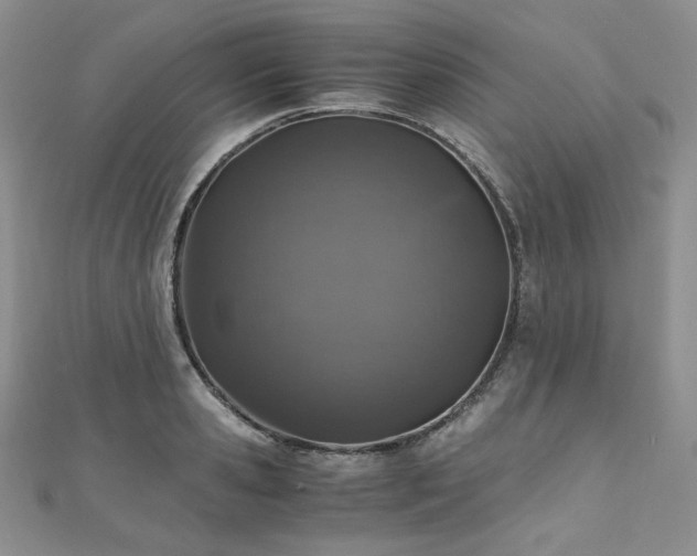 X0000110890941200906181243