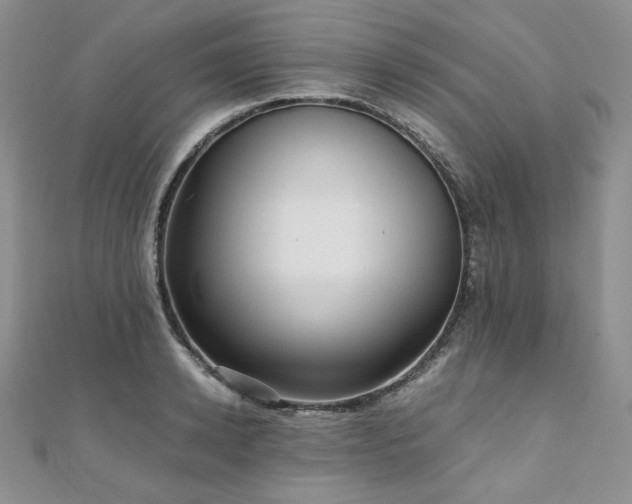 X0000110890942200906181243