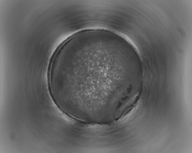 X0000110890943200906181243