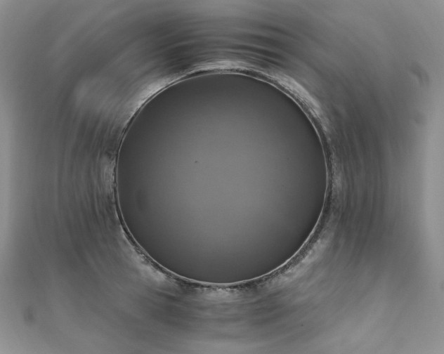 X0000110890945200906181243