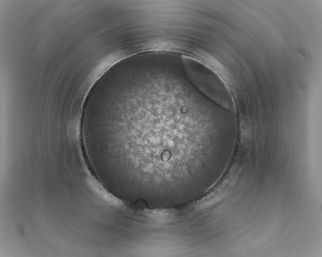 X0000110890946200906181243