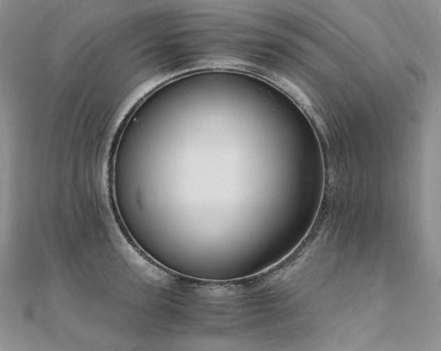 X0000110890947200906181243