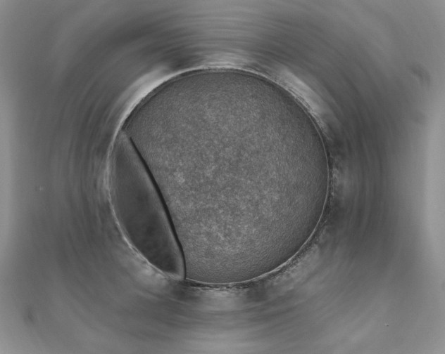 X0000110890948200906181243