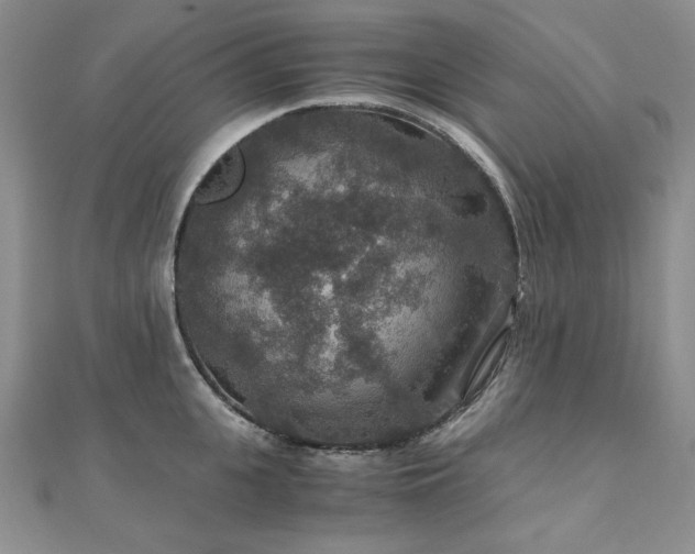 X0000110890951200906181243