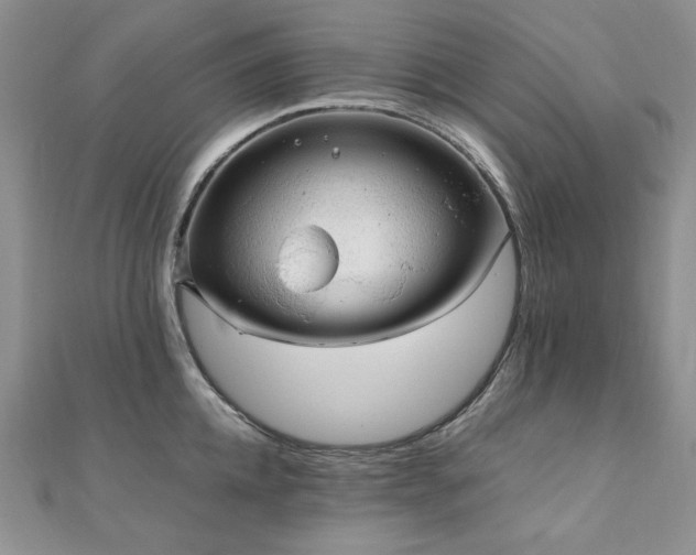 X0000110890952200906181243