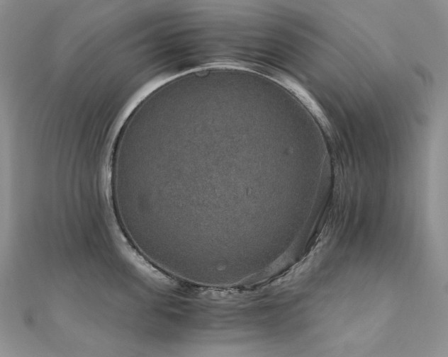 X0000110890955200906181243