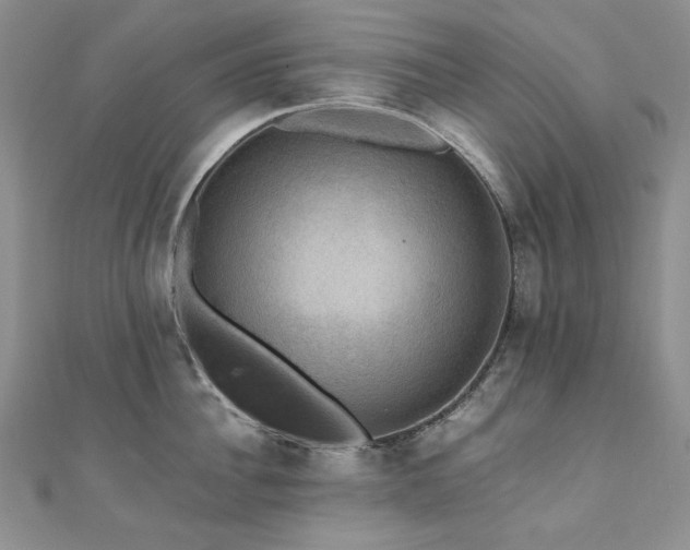 X0000110890956200906181243