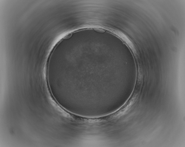 X0000110890958200906181243