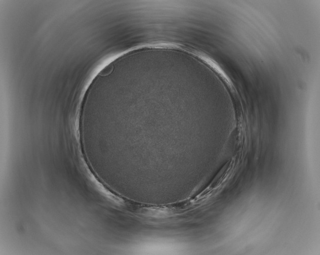 X0000110890959200906181243