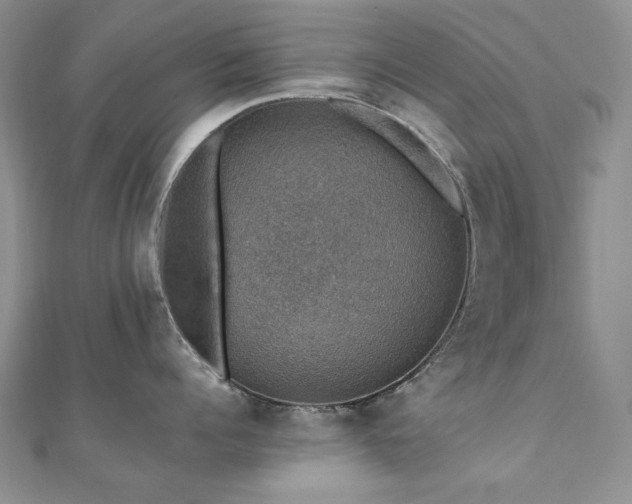 X0000110890960200906181243