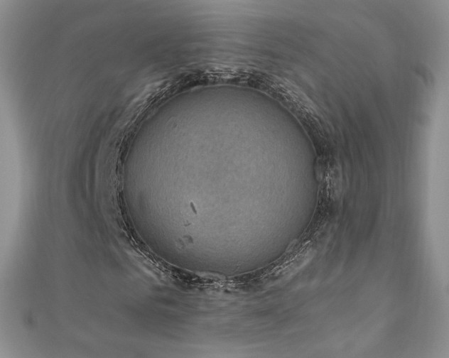 X0000110890961200906181242