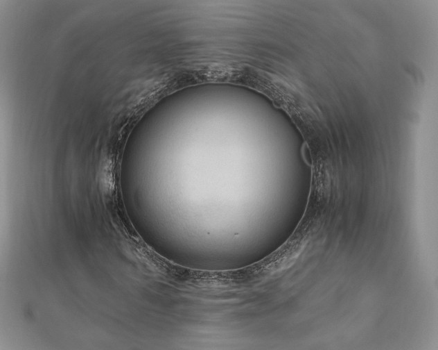 X0000110890962200906181242