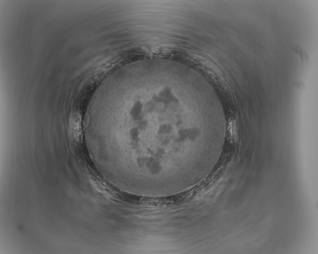 X0000110890963200906181242