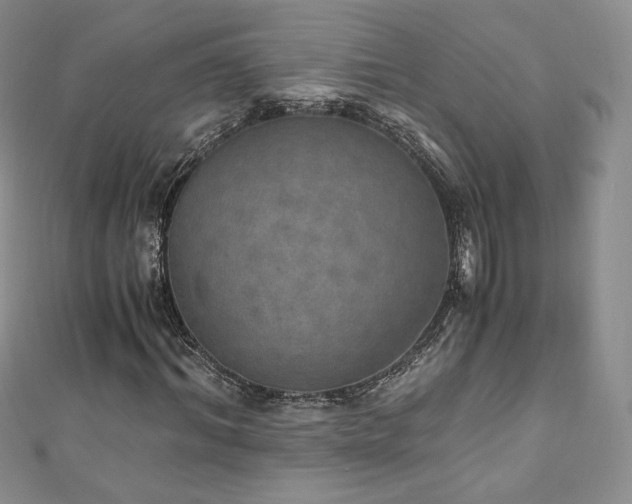 X0000110890964200906181242