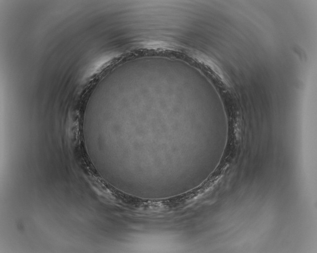 X0000110890968200906181242