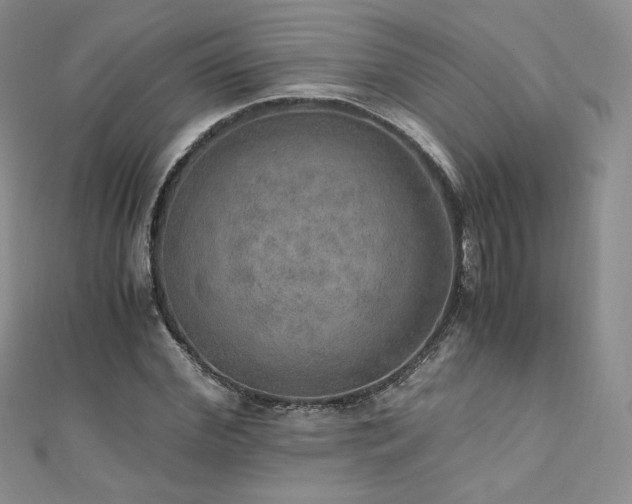 X0000110890972200906181242