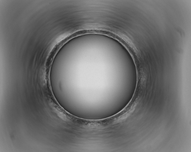 X0000110890974200906181242