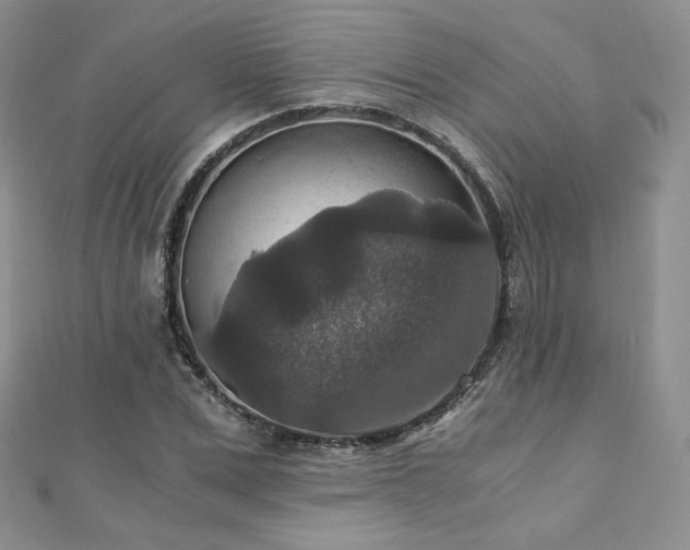 X0000110890975200906181242