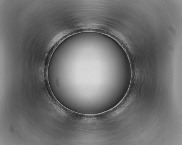 X0000110890978200906181242