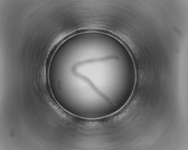 X0000110890982200906181242
