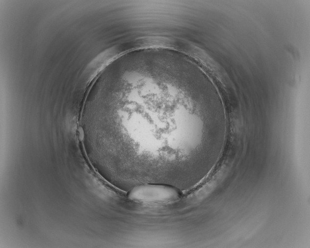 X0000110890985200906181242
