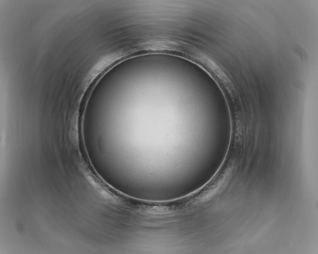X0000110890986200906181242