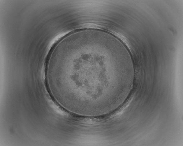 X0000110890987200906181242