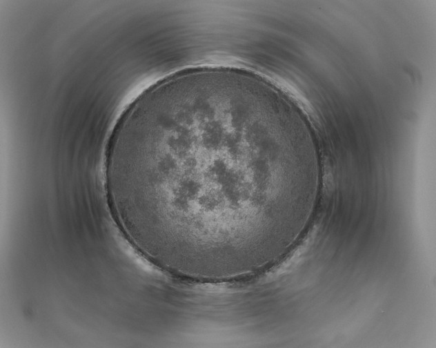 X0000110890990200906181242
