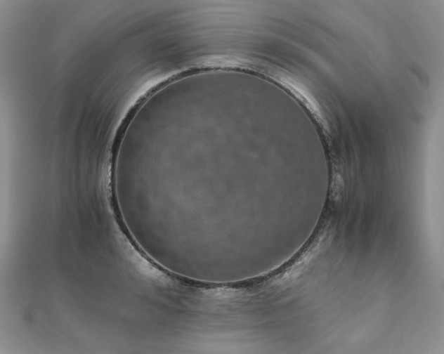 X0000110890992200906181242