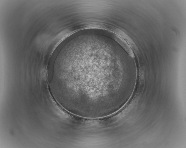 X0000110890993200906181242