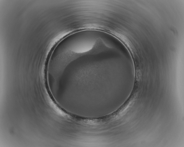 X0000110890995200906181242
