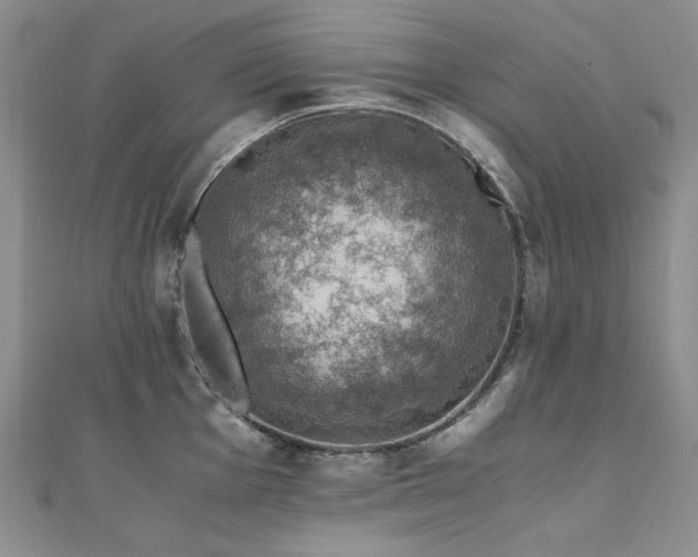 X0000110891001200906181242
