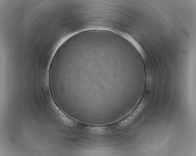 X0000110891004200906181242