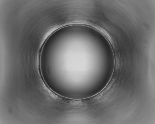 X0000110891006200906181242