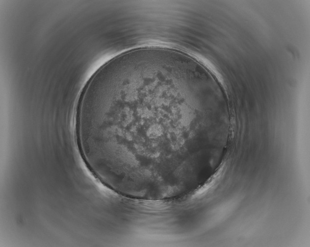 X0000110891007200906181242