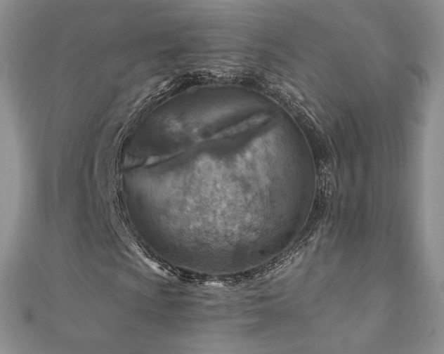 X0000110891009200906181241