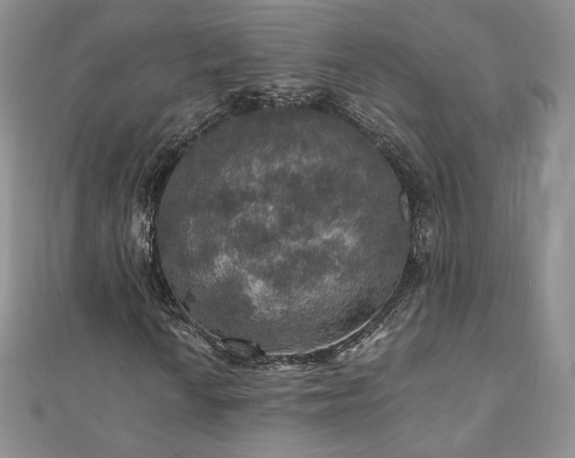 X0000110891010200906181241