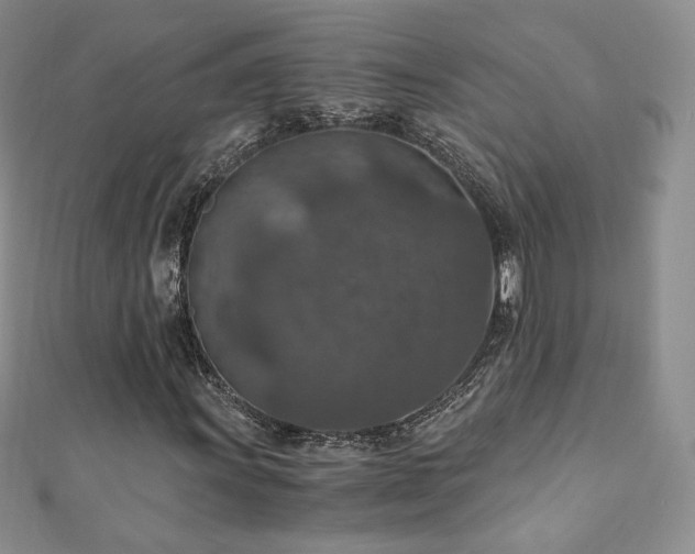X0000110891011200906181241