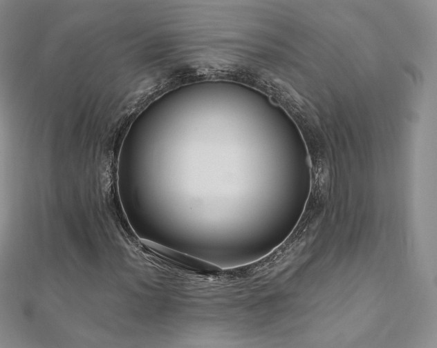 X0000110891012200906181241