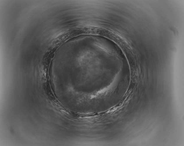 X0000110891013200906181241