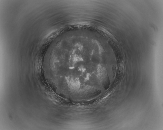 X0000110891014200906181241