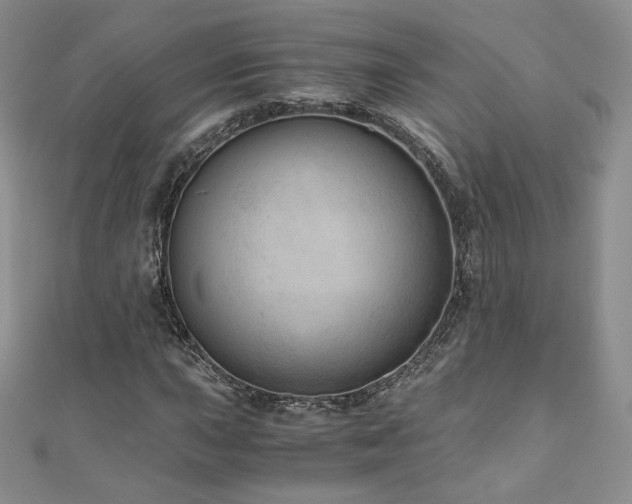 X0000110891015200906181241