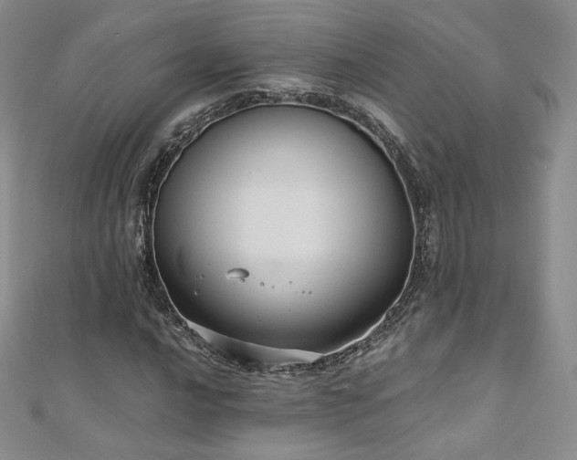 X0000110891016200906181241