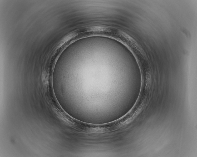X0000110891017200906181241