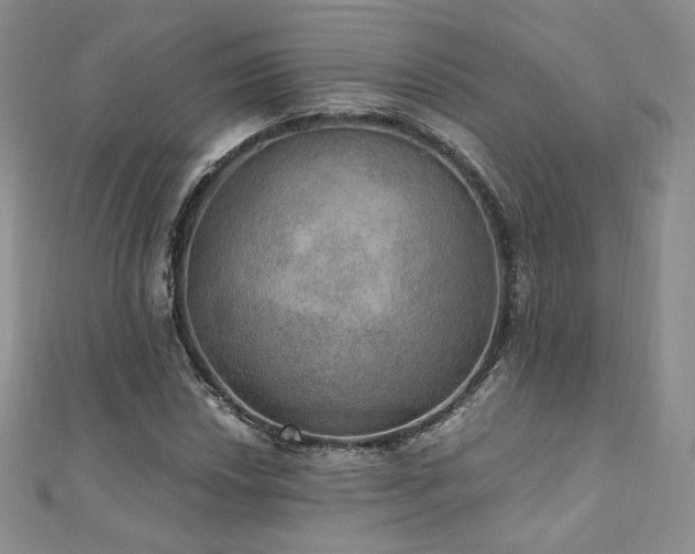 X0000110891018200906181241