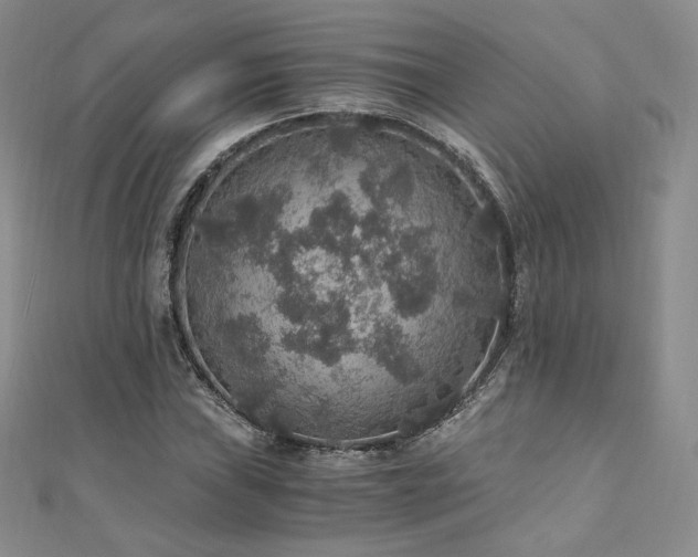 X0000110891019200906181241