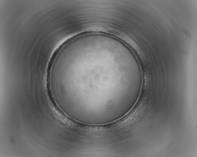 X0000110891020200906181241