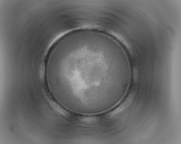 X0000110891021200906181241