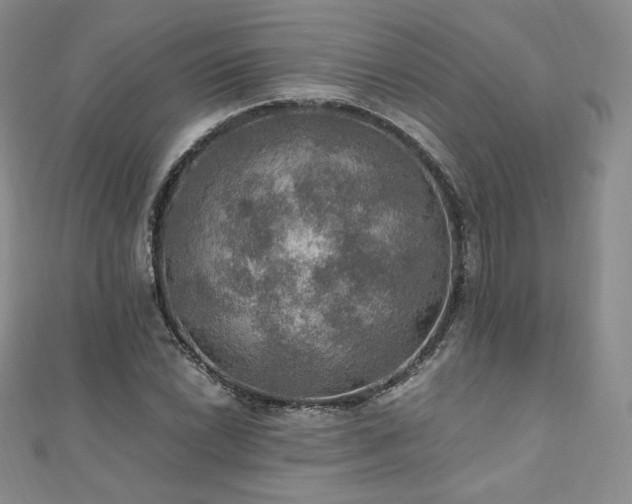X0000110891022200906181241