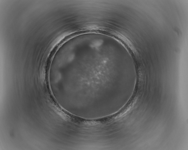 X0000110891023200906181241